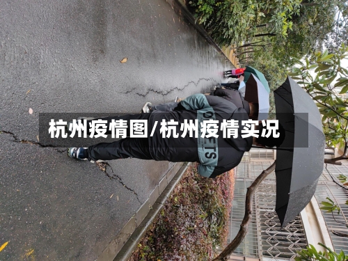杭州疫情图/杭州疫情实况-第2张图片