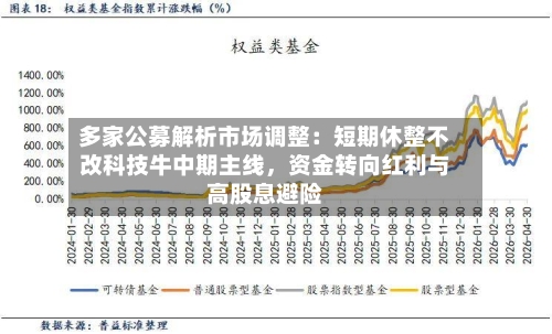 多家公募解析市场调整：短期休整不改科技牛中期主线，资金转向红利与高股息避险