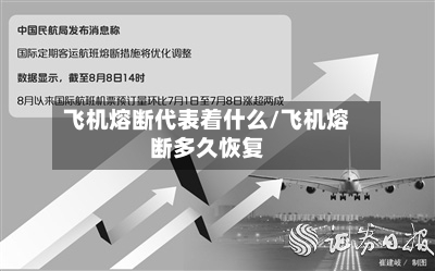 飞机熔断代表着什么/飞机熔断多久恢复-第2张图片