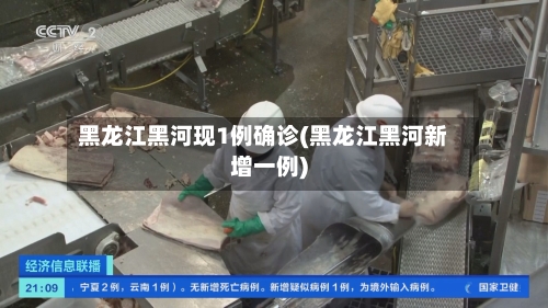 黑龙江黑河现1例确诊(黑龙江黑河新增一例)-第2张图片