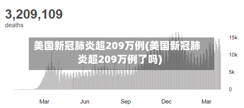 美国新冠肺炎超209万例(美国新冠肺炎超209万例了吗)-第2张图片