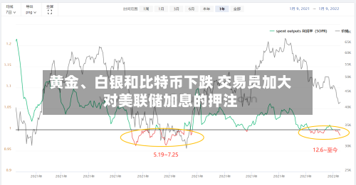 黄金	、白银和比特币下跌 交易员加大对美联储加息的押注-第2张图片