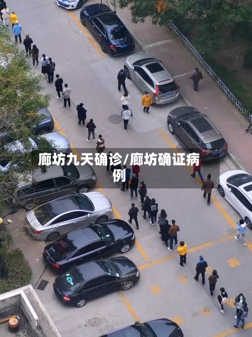 廊坊九天确诊/廊坊确证病例