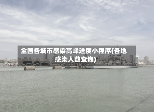 全国各城市感染高峰进度小程序(各地感染人数查询)