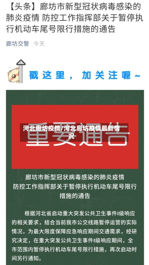河北廊坊疫情/河北廊坊疫情最新情况-第3张图片
