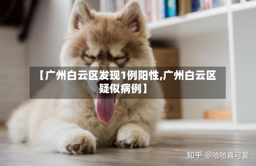 【广州白云区发现1例阳性,广州白云区疑似病例】-第3张图片