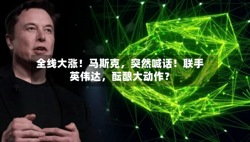 全线大涨！马斯克，突然喊话！联手英伟达，酝酿大动作？