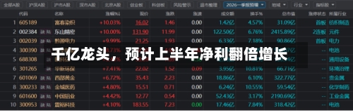 千亿龙头	，预计上半年净利翻倍增长-第2张图片